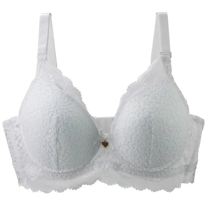 Pushup Bra D Cup Plus Size Bra - Basic