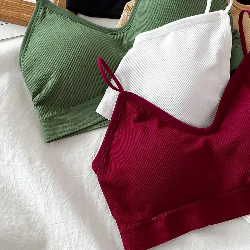 Daily Wear Padded Bralette Bra
