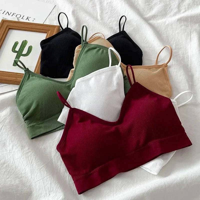 Daily Wear Padded Bralette Bra