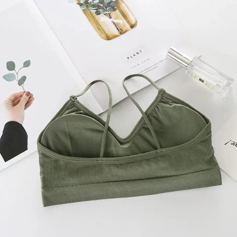 Daily Wear Padded Bralette Bra
