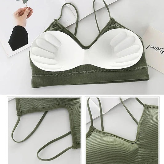 Daily Wear Padded Bralette Bra