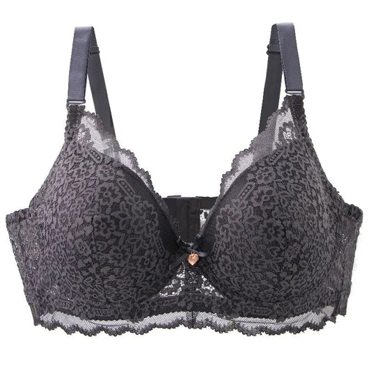 Pushup Bra D Cup Plus Size Bra - Basic