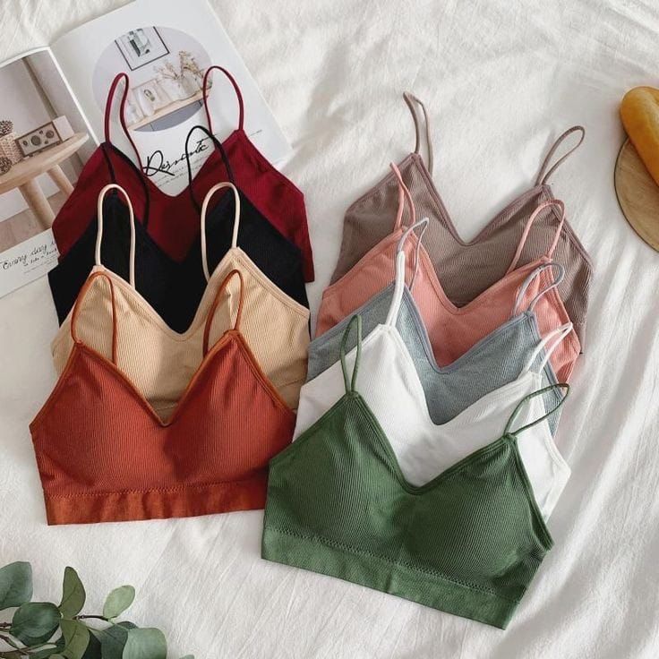 Daily Wear Padded Bralette Bra